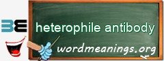 WordMeaning blackboard for heterophile antibody